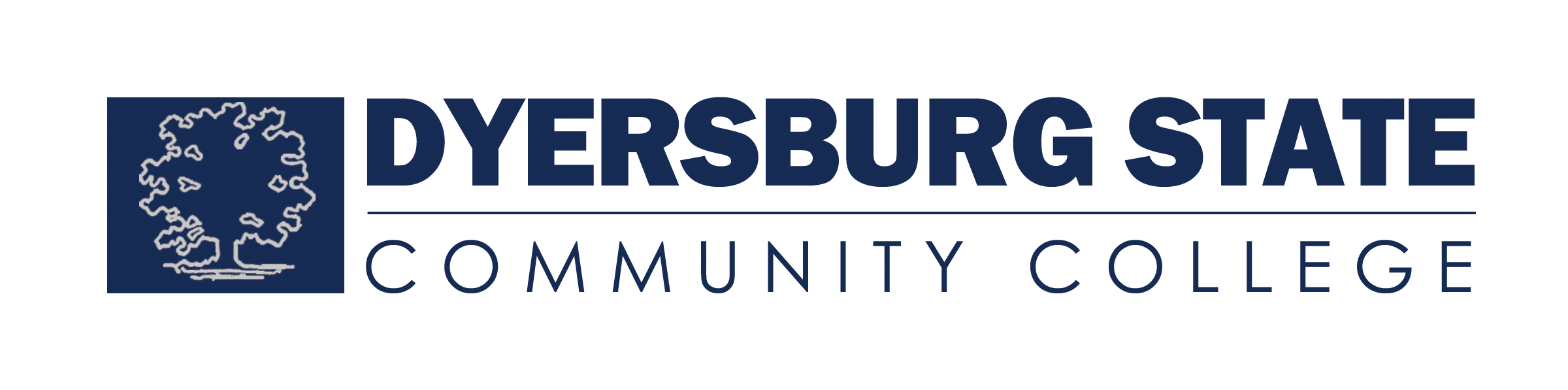 DSCC Wordmark White