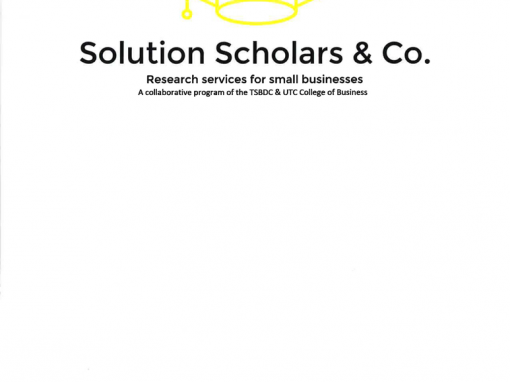 Solution Scholars & Co.
